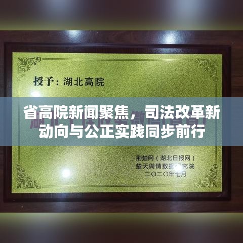 省高院新聞聚焦，司法改革新動向與公正實踐同步前行