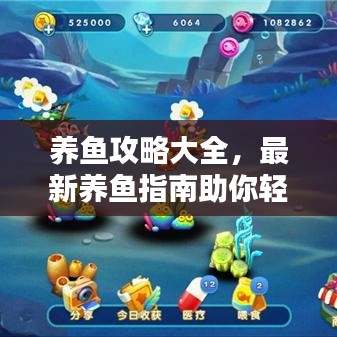 養(yǎng)魚攻略大全，最新養(yǎng)魚指南助你輕松成為養(yǎng)魚達(dá)人！