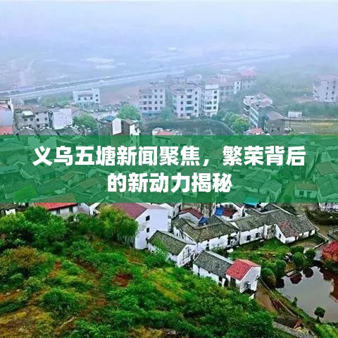 義烏五塘新聞聚焦，繁榮背后的新動(dòng)力揭秘