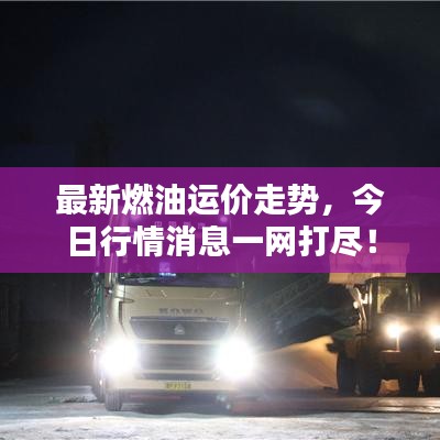最新燃油運價走勢，今日行情消息一網(wǎng)打盡！