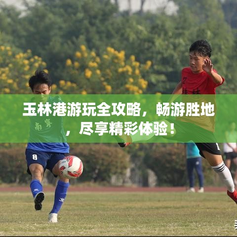 玉林港游玩全攻略，暢游勝地，盡享精彩體驗！