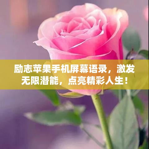 勵志蘋果手機屏幕語錄，激發(fā)無限潛能，點亮精彩人生！